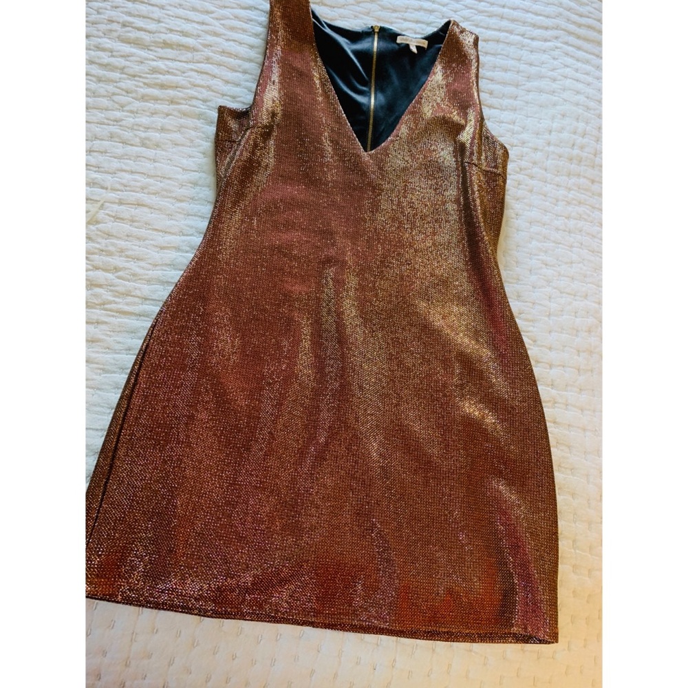 Charolette russe dress